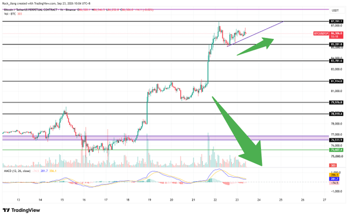 A TradingView chart of Bitcoin's price (BTCUSDT) in USDT, with green arrows highlighting an upward price breakout followed by a sharp downward move, set up by 'RocS'.