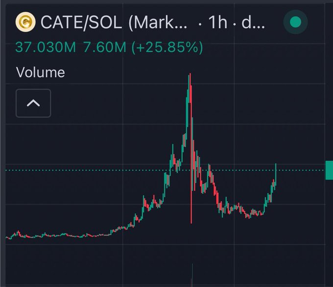 A 1-hour candlestick chart for the CATE/SOL trading pair shows the token surging to a peak before a sharp crash and subsequent recovery, with current trading volume at 37.030M (+25.85%) — visually reinforcing the post's celebration of $CATE's dramatic bounce back after a steep sell-off.