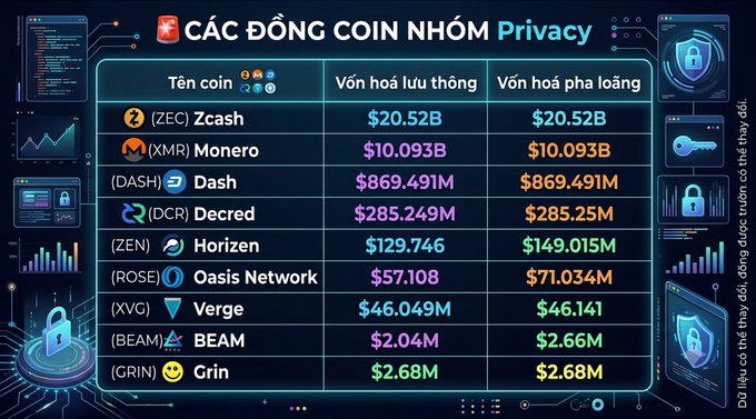 A Vietnamese-language infographic titled 'CÁC ĐỒNG COIN NHÓM Privacy' listing privacy-focused cryptocurrencies including Zcash (ZEC), Monero (XMR), Dash (DASH), Decred (DCR), Horizen (ZEN), Oasis Network (ROSE), Verge (XVG), BEAM, and Grin (GRIN) with their market capitalization figures.