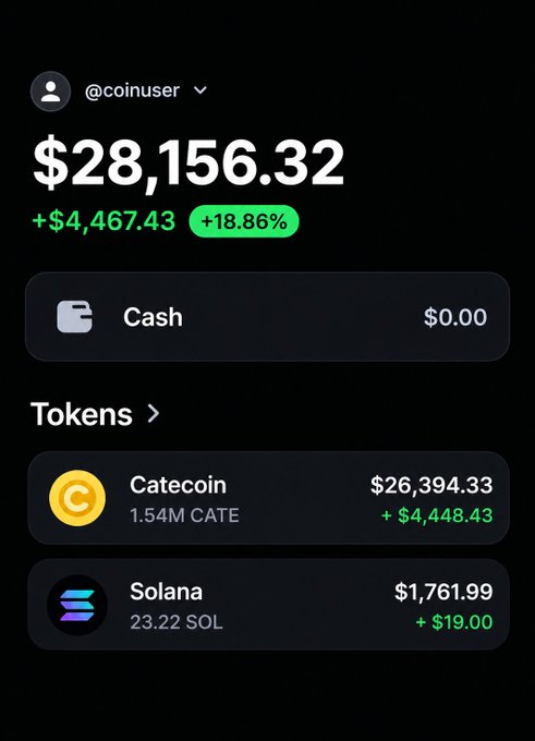 A crypto wallet screenshot for @coinuser shows a portfolio value of $28,156.32 (+18.86%), primarily held in Catecoin and Solana.