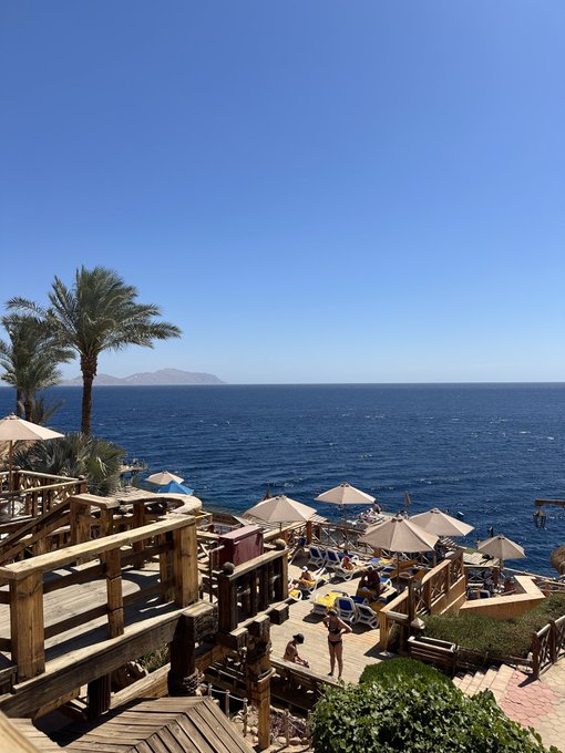 A beautiful Good Morning scene featuring a serene coastal resort with palm trees, beach umbrellas, and a clear blue sea stretching to distant mountains under a bright sky. The relaxed seaside view perfectly matches the peaceful "Gm" greeting.