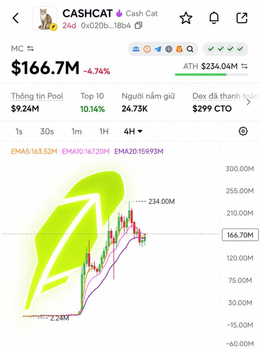 A cryptocurrency tracking app showing the CASHCAT token with a market cap of $166.7M (-4.74%), an ATH of $234.04M, and a price chart featuring a green cat logo.