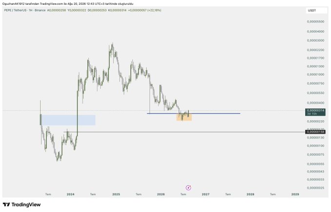 A TradingView chart of PEPE/USDT on Binance displays a multi-year price trend spanning from 2023 to 2029, with current price at $0.00000314 (+22.98%) and highlighted support zones (blue, orange, and purple boxes) marking key buying levels around $0.00000130–$0.00000314 where the user plans to accumulate more Pepe as a long-term hold.