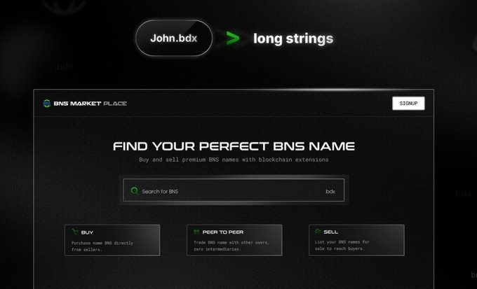 A website screenshot for BNS Market Place displaying 'FIND YOUR PERFECT BNS NAME' with search functionality and options to Buy, Peer to Peer trade, and Sell BNS names, featuring the domain John.bdx.