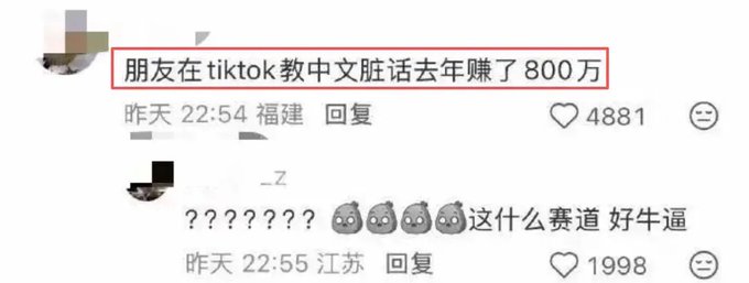 A screenshot of social media comments in Chinese, where the top comment reads "朋友在tiktok教中文脏话去年赚了800万" (A friend earned 8 million last year teaching Chinese swear words on TikTok) with 4881 likes, and the reply below asks "这什么赛道 好牛逼" (What kind of track is this, so awesome) with 1998 likes.