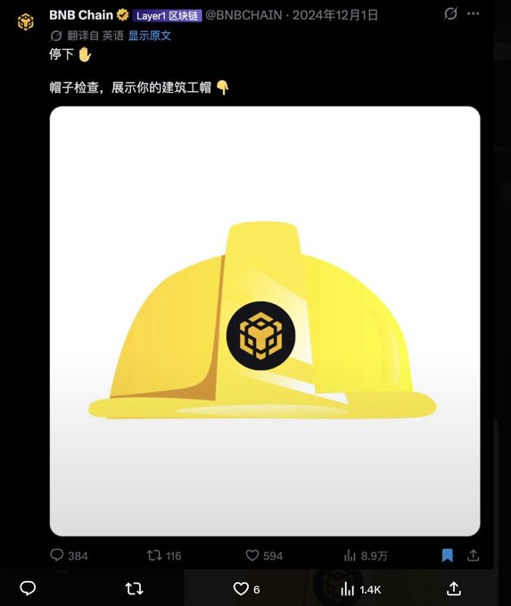 A screenshot of a BNB Chain Twitter post from December 1, 2024, featuring a yellow construction hard hat with the BNB logo, accompanied by Chinese text "帽子检查，展示你的建筑工帽" (Hat check, show off your construction hat). The post has garnered 384 comments, 116 retweets, 594 likes, and 8.9万 (89,000) views, connecting to the user's commentary about a "builder cat with yellow hat on the builder chain" referencing $SUE as a meme token.