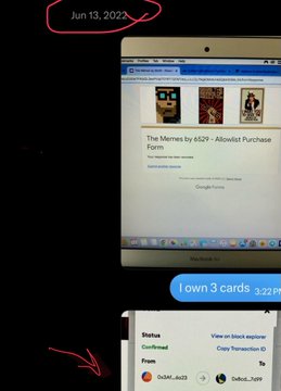 A screenshot of an iPad displaying an 'Allowlist Purchase Form' for 'The Memes by 6529' dated 'Jun 13, 2022', with a red circle around the date.