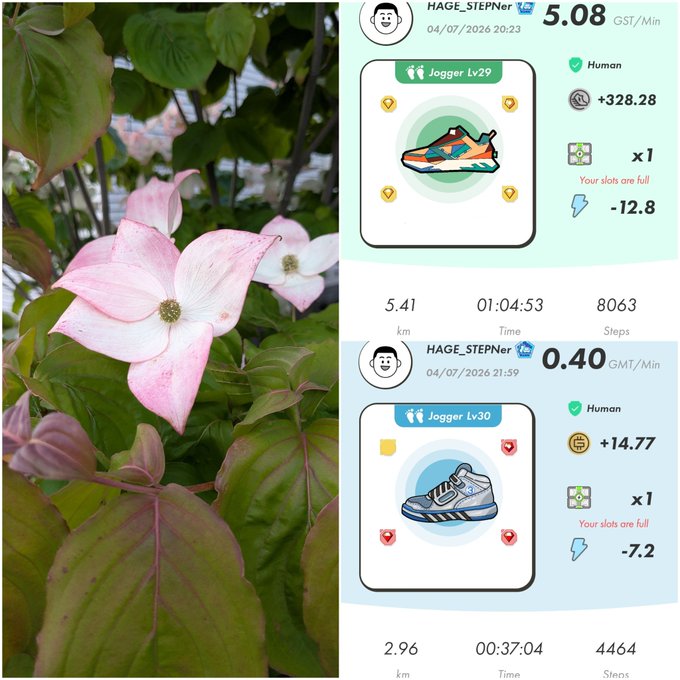 A split image showing pink dogwood flowers on the left and two STEPN jogger activity screenshots on the right, displaying earnings of 5.08 GMT/Min and 0.40 GMT/Min.