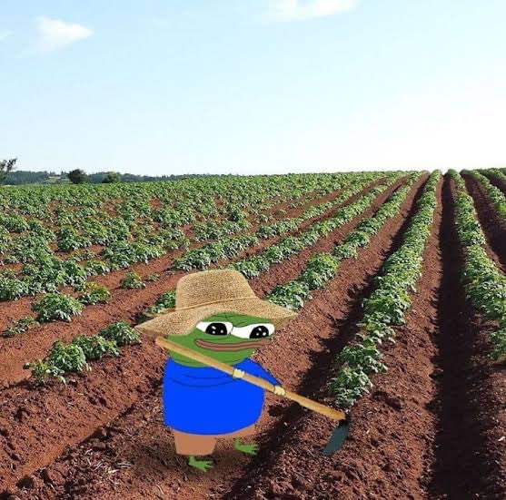 An animated Pepe the Frog dressed as a farmer in a straw hat and blue shirt stands in a vast field, hoisting a hoe. The image playfully contrasts the rural "farmer" meme with the post's finance slang, where "dunks" refer to short positions and "pumps" refer to rising stock prices being celebrated.