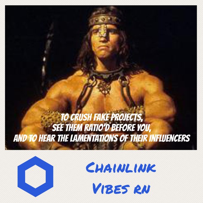 A meme featuring a muscular barbarian figure overlaid with text: 'TO CRUSH FAKE PROJECTS, SEE THEM RATIO'D BEFORE YOU, AND TO HEAR THE LAMENTATIONS OF THEIR INFLUENCERS,' with the Chainlink logo and text 'CHAINLINK VIBES RN' below.