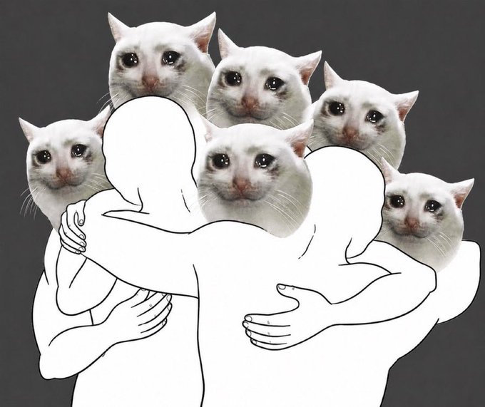 Two faceless figures embrace while being surrounded by a chaotic crowd of crying white cats, visually capturing the overwhelming emotional "hated rally" sentiment around the $CASHCAT meme coin. The unsettling meme imagery of the crying cat heads embodies the dramatic, tear-soaked mania the post predicts will consume all other meme seasons.