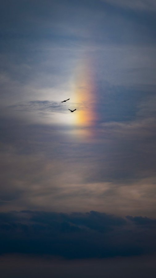 Two birds soar past a vibrant, vertical rainbow-colored optical phenomenon—likely a sun dog or atmospheric iridescence—glowing against a dusky sky. The dramatic atmospheric display echoes the post's invitation to collectors, as the rare natural spectacle becomes the centerpiece of the Times Square and London Heathrow artwork.