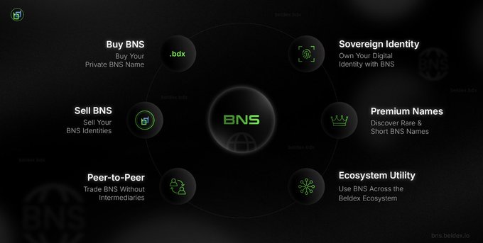 An infographic for the 'BNS' (bns.beidax.io) ecosystem showing six features arranged in a circle: Buy BNS, Sovereign Identity, Sell BNS, Premium Names, Peer-to-Peer, and Ecosystem Utility on a dark background.