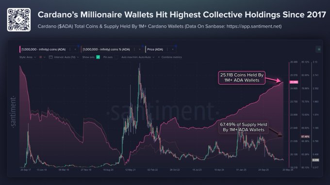 The image shows a line graph that illustrates the rise in the value of Cardano's cryptocurrency wallets over time. It appears that the Bitcoin wallet has been holding its position as the leader among various wallets with at least one million dollars, while other wallets are starting to catch up or fall behind. This suggests that the value of Cardano is increasing, and it might be a good time for investors looking to invest in cryptocurrency. The post emphasizes this upward trend, which may encourage more people to learn about and explore new investment opportunities in the crypto space.