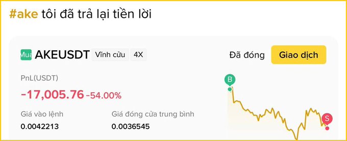 A Binance trading interface shows a losing AKE/USDT perpetual position with a -17,005.76 PnL (-54%) and an average entry of $0.0042213, with the chart illustrating the steep price decline from the long entry point (B) down to current levels (S). The image visually confirms the trader's account of going long on AKE at $0.0042 and watching it plummet to roughly $0.0036, resulting in their substantial loss.