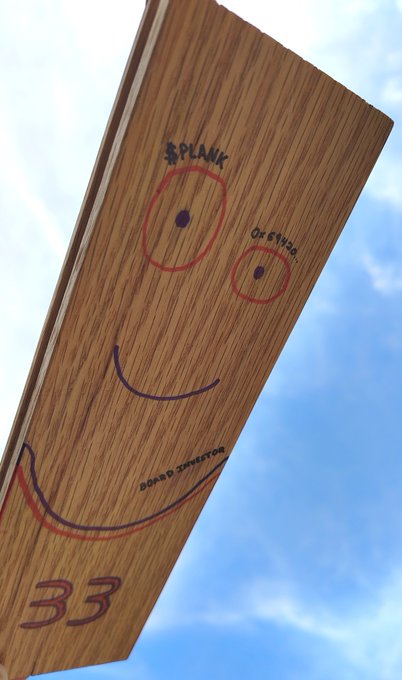 A wooden plank held up against a blue sky features hand-drawn annotations including a smiley face, red circled holes labeled 'SPLANK' and 'OH BYTHE', the text 'BOARD INSPECTOR', and the number '33' carved into the bottom.