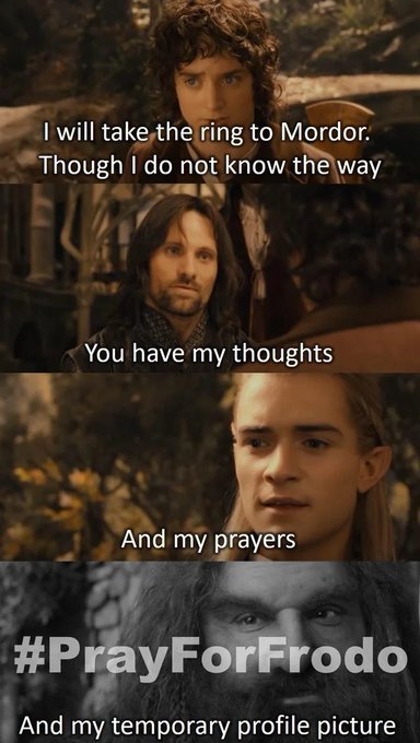 Lord of the Rings meme featuring Frodo, Aragorn, Legolas, and Gandalf, with text quoting 'I will take the ring to Mordor... You have my thoughts... And my prayers... #PrayForFrodo And my temporary profile picture.'