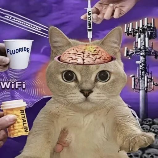 The image is a conspiracy-style meme featuring a cat with an exposed brain receiving injections of "Mercury," "Aluminum," and "Ritalin," surrounded by labels for "Fluoride," "WiFi," a cell tower, and skulls — aligning with the Telegram post's tone of promoting unverified claims to a 2,000-entry audience at t.me/yrunners.