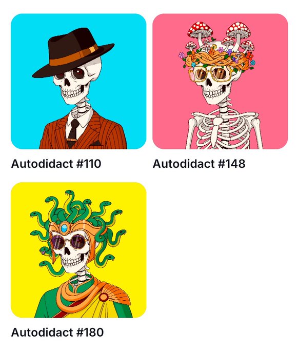 A grid showcasing three unique skeleton character NFTs—Autodidact #110 (a dapper figure in a fedora and pinstripe suit), Autodidact #148 (adorned with a floral and mushroom crown), and Autodidact #180 (a Medusa-inspired design with green serpent hair)—all received as gifts. The collection directly illustrates the poster's gratitude for receiving three special Autodidacts from the artist @younghover1996.