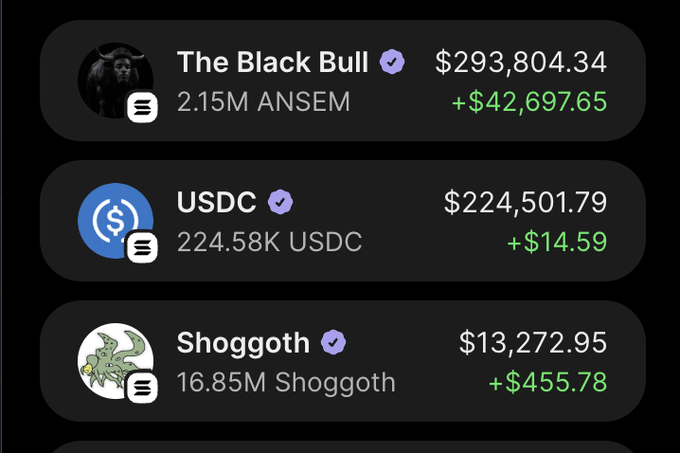 A crypto portfolio display showing holdings for The Black Bull ($293,804.34), USDC ($224,501.79), and Shoggoth ($13,272.95) with their respective gains.