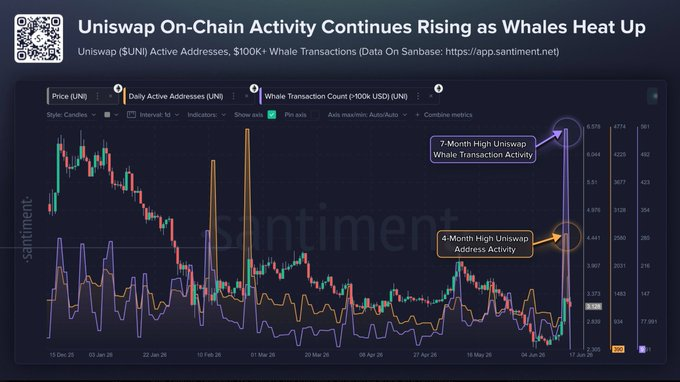 The image shows a chart of Uniswap's whale activity, which has been steadily increasing over time. A line graph illustrates the rise in whale activity, with the x-axis representing time (in months) and the y-axis displaying the number of whale transactions. The chart indicates that both active addresses and whale transactions have hit new highs, reaching record levels just below $100. It is described as a "standard Chartered" post, suggesting it may be a financial analysis or report related to Uniswap's operations and whale activity in the cryptocurrency market.