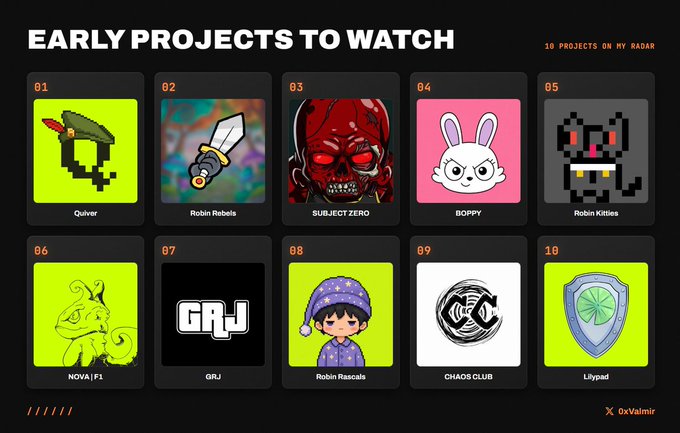 A graphic titled 'EARLY PROJECTS TO WATCH' displaying 10 NFT/Web3 projects including Quiver, Robin Rebels, SUBJECT ZERO, BOPPY, Robin Kitties, NOVA | F1, GRJ, Robin Rascals, CHAOS CLUB, and Lilypad by 0xValmir.
