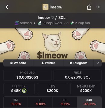 A cryptocurrency trading app displays the "$lmeow" token on Solana, showing a price of $0.0002053 USD (0.000002696 SOL), a $48K liquidity, $200K FDV, and market cap, with significant 24-hour losses of -45.32% alongside a cheerful cat meme banner. The image reflects the post's optimism about community activity and the hope for a recovery "candle," despite the steep decline shown across all timeframes (5M: -0.66%, 1H: -5.83%, 6H: -5.12%, 24H: -45.32%).