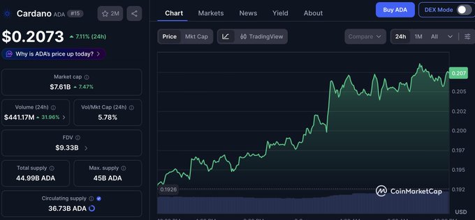 A CoinMarketCap chart shows Cardano (ADA) priced at $0.2073, up 7.11% in 24 hours, with a market cap of $7.61B.
