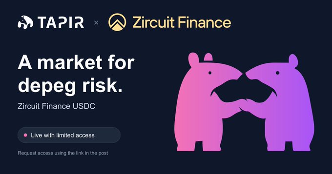 A promotional banner for 'TAPIR x Zircuit Finance' advertising 'A market for depeg risk' for Zircuit Finance USDC with two pink tapir illustrations.