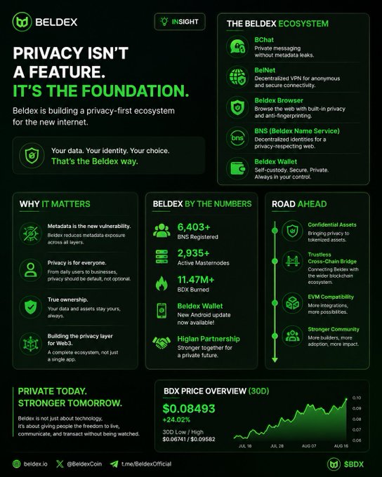 An infographic for Beldex's 'Insight' newsletter titled 'Privacy Isn't A Feature, It's The Foundation,' outlining the Beldex ecosystem including BChat, BelNet, Beldex Browser, BNS, and Beldex Wallet, along with statistics and a 30-day BDX price overview showing $0.08493 (+24.02%).