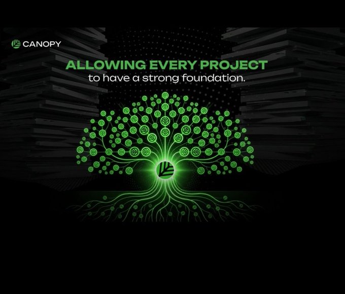 A promotional graphic for 'Canopy' featuring a glowing green digital tree logo with the tagline 'ALLOWING EVERY PROJECT to have a strong foundation.'