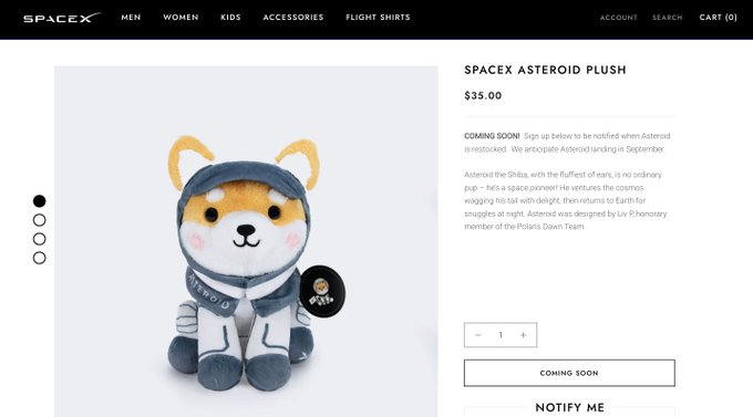 The image features a small stuffed animal kitty bear wearing a spacesuit, which appears to be an astronaut plush toy from a company like Spacesx. The item is pictured prominently and includes various descriptions of its contents such as "astroid plush", "flying shirts", and other details that could give insight into what the product offers.
