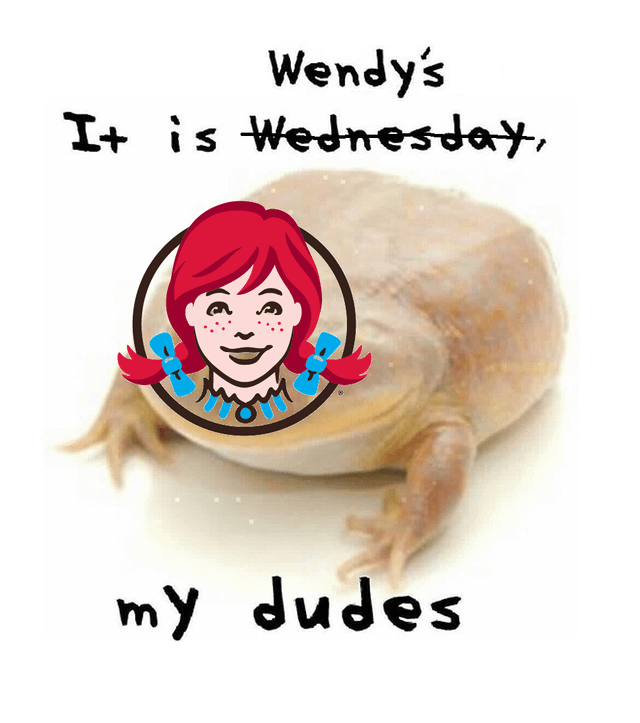 A meme featuring the Wendy's logo superimposed on a frog with handwritten text reading 'Wendy's It is Wednesday, my dudes'.