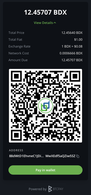 A BitPay payment screen showing 12.45707 BDX with details including total price, $1.00 flat fee, exchange rate of 1 BDX = $0.08, and a QR code for wallet payment.