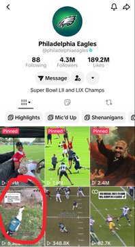 The Philadelphia Eagles TikTok profile page showing their handle @philadelphiaeagles with 4.3M followers, labeled as 'Super Bowl LII and LIX Champs', with one pinned video circled in red.