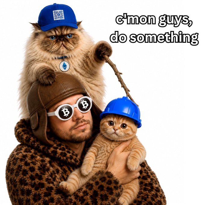 A man wearing a leather aviator hat and Bitcoin sunglasses holds a small cat in a blue hard hat, while a grumpy cat in a blue baseball cap with a QR code sits on his shoulder holding a stick, with the caption "c'mon guys, do something"—referencing the post's call to list $Miggles on Coinbase.