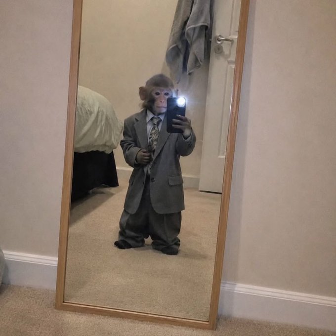 A mirror selfie of a young chimpanzee wearing a gray suit and tie, holding a smartphone to take the photo in what appears to be a bedroom.