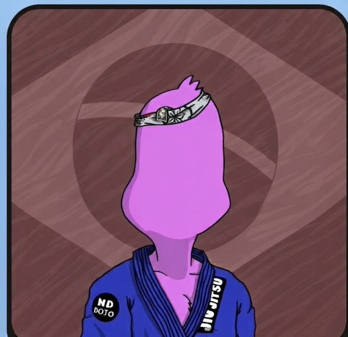 An illustration of a purple cartoon character wearing a headband with decorative designs and a blue martial arts gi featuring 'ND DOJO' and 'JIVATSU' patches on a brown wooden background.