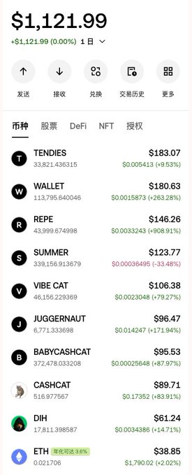 A cryptocurrency wallet portfolio showing a total balance of $1,121.99, listing assets like TENDIES, WALLET, REPE, SUMMER, VIBE CAT, and JUGGERNAUT with their prices and 24-hour changes.