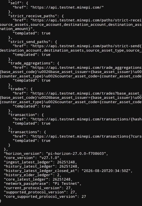 A JSON configuration file displaying API endpoints for 'api.testnet.minepi.com' and metadata including 'network_passphrase: Pi Testnet' and 'core_version: v27.1.0'.