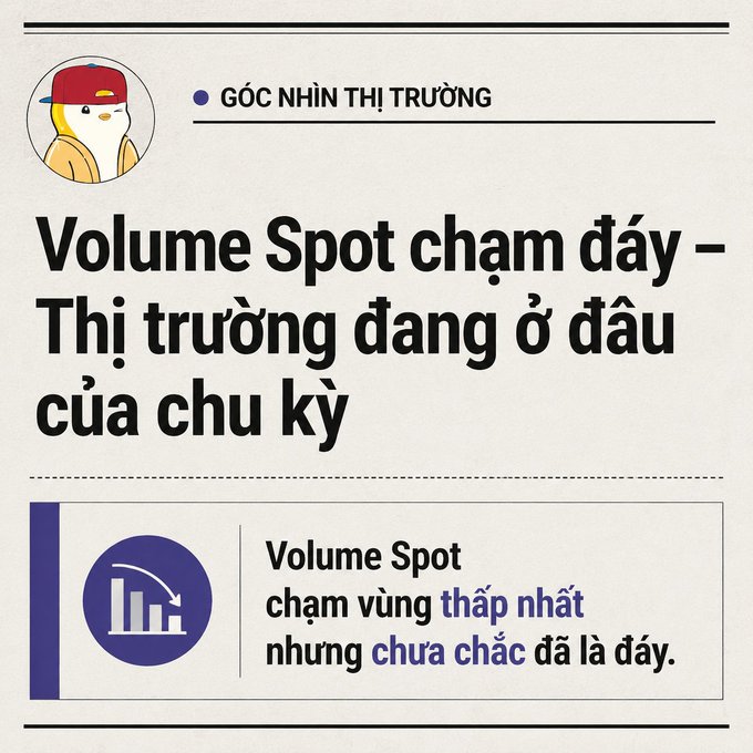 A Vietnamese market analysis graphic titled "GÓC NHÌN THỊ TRƯỜNG" discussing "Volume Spot chạm đáy – Thị trường đang ở đầu của chu kỳ" with a note that Volume Spot is at its lowest but not necessarily the bottom.