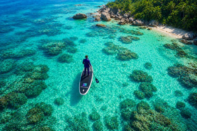 An aerial view of a person paddleboarding in crystal-clear turquoise water near a tropical coastline with rocks and palm trees.