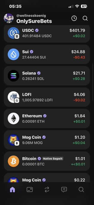 The image features an iPhone screen with a list of various cryptocurrencies displayed. At the top, there's a post announcing "Only SureBets", and below that are descriptions and names of different coins. The text reads: "LFI $lofi gekauft den Pepe yeti". This suggests the user may be interested in LFI or is considering investing in it along with other coins on the list. The image focuses on what's displayed on the iPhone screen, providing information about these cryptocurrencies and their associated names.