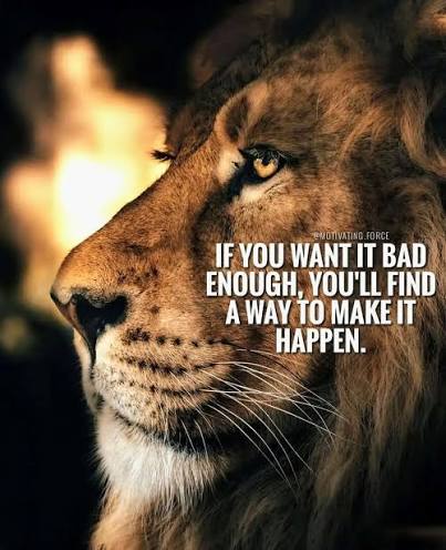 A majestic lion in profile is shown with a fiery sunset in the background, overlaid with the motivational quote: "If you want it bad enough, you'll find a way to make it happen." The lion's fierce, determined gaze reinforces the quote's message of perseverance, symbolizing the strength and unwavering focus needed to turn positive thoughts into reality.