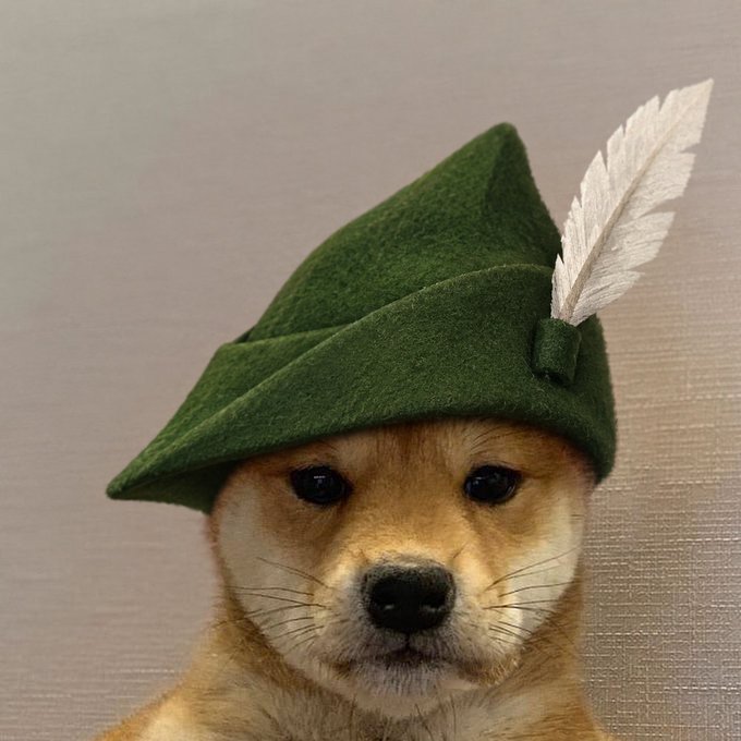 A Shiba Inu dog wears a green felt Robin Hood-style hat with a white feather, embodying a "homeless" yet noble aesthetic that humorously contrasts with the post's self-deprecating remark about $rstr being a multi-8 figure coin or the user being "homeless." The image ties into the meme culture around cryptocurrency speculation, using the dog's forlorn expression as a relatable visual for the risks of chasing low-cap coins.