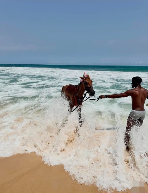 𝕏 We'r back early This photo was taken at a beach where a man is holding onto a horse's reins while standing in the ocean water, with waves crashing around them. The image also includes text that reads "Good morning 𝕏 We're back early The market feels quiet right now, but a lot of real building is happening behind the scenes, @quipnetwork is working on infrastructure that can".
