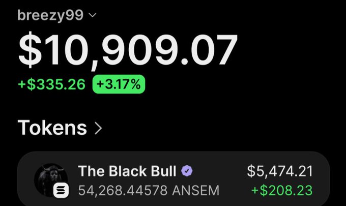 The image shows user "breeezy99"'s crypto portfolio totaling $10,909.07 (+$335.26, +3.17%), featuring 54,268.44578 ANSEM tokens ("The Black Bull") valued at $5,474.21 (+$208.23), visually supporting the post's boast about profiting from buying the ANSEM token across multiple wallets for an airdrop.