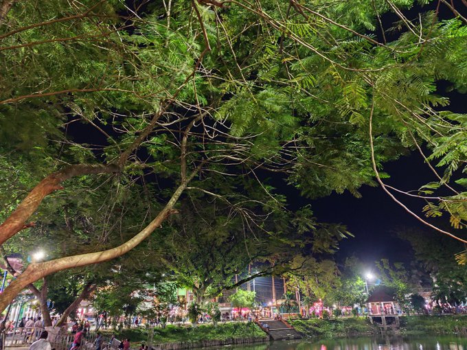 The image shows a nighttime scene with trees, including a large tree that has its branches reaching out over the water at night. The sky above appears dark, creating an atmosphere of tranquility. There are several people walking around near the water's edge or in the park area, enjoying the peaceful ambiance and natural beauty. A bench is also visible within the scene, providing a place for visitors to sit and appreciate the view.