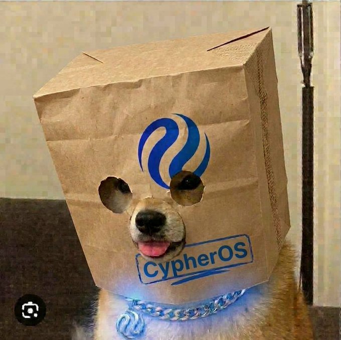 A Shiba Inu dog is humorously pictured wearing a brown paper bag over its head with the 'CypherOS' logo printed in blue on the front.