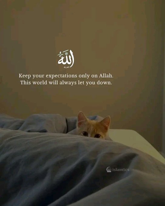 An orange cat peeks out from under a gray blanket, with the text 'Allah', 'ALLAH ١', 'Keep your expectations only on Allah. This world will always let you down.', and a watermark for 'islamtics' overlaid on the image.